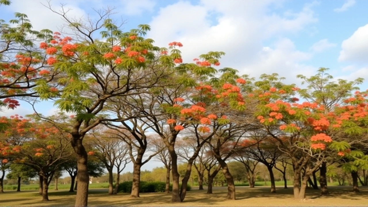 Tendências Gerais do Tempo na Primavera